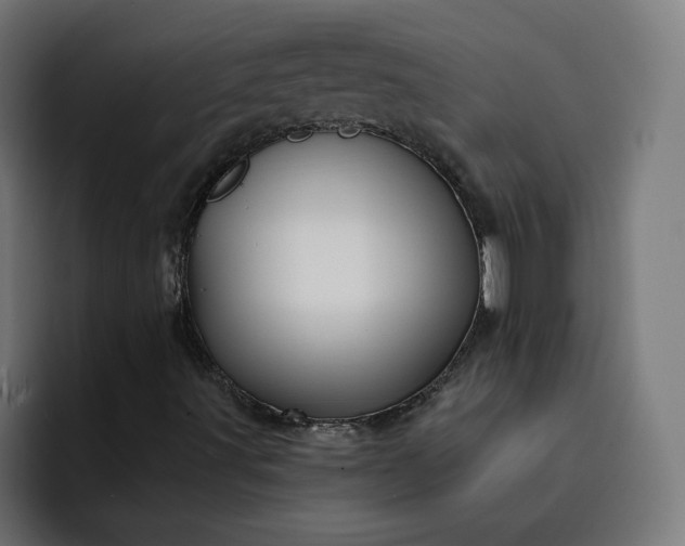 X0000093141491200710101107