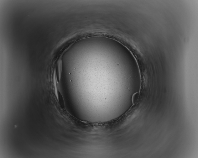 X0000093141494200710101107