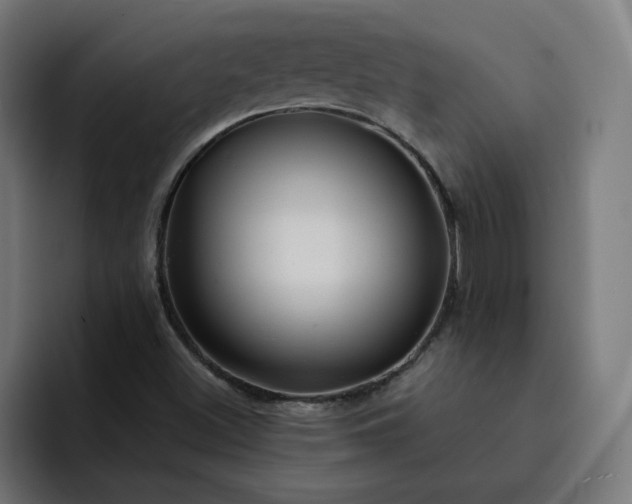 X0000093141500200710101107