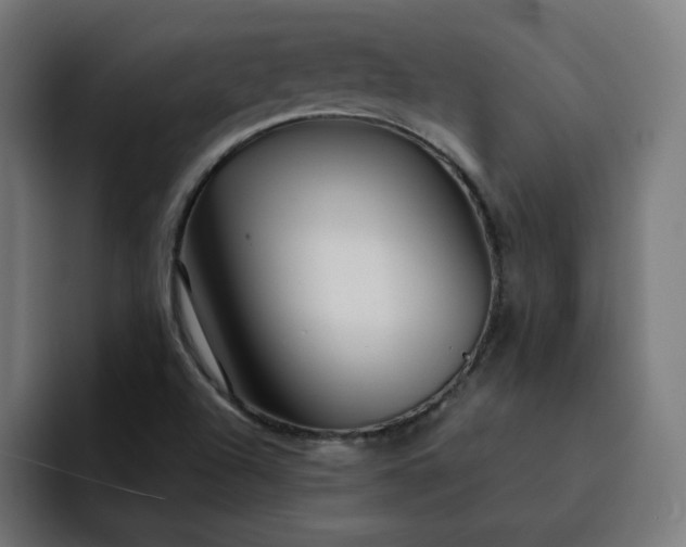 X0000093141504200710101108