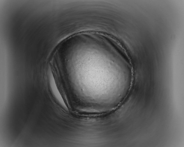 X0000093141505200710101108