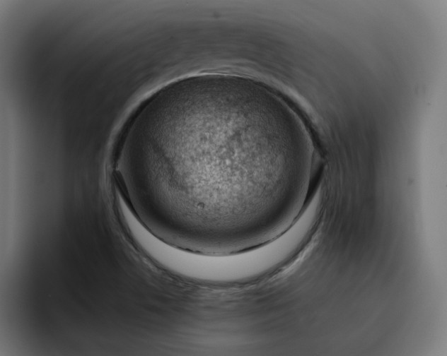 X0000093141506200710101108