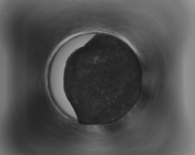 X0000093141508200710101108