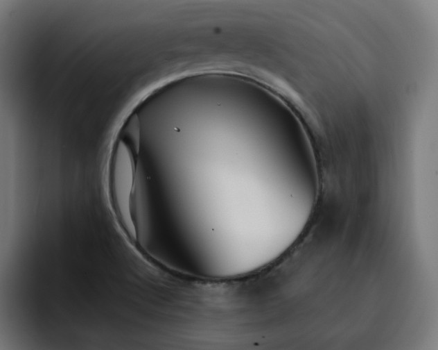 X0000093141512200710101108