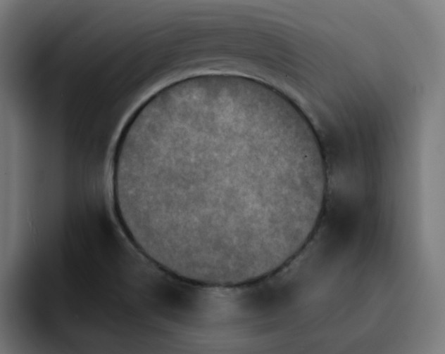 X0000093141514200710101108