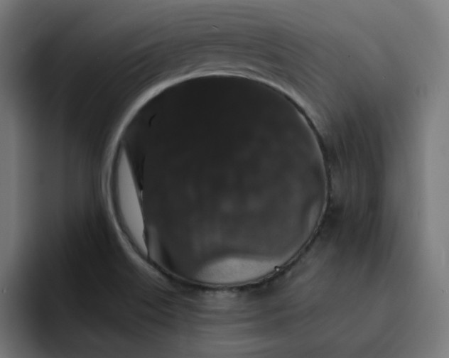 X0000093141515200710101108