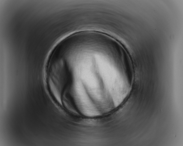 X0000093141517200710101108