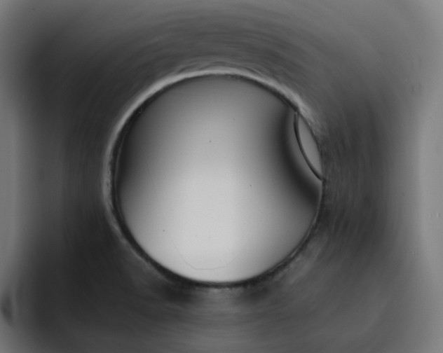 X0000093141518200710101108