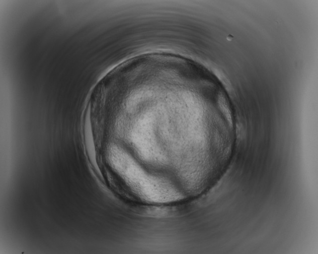 X0000093141521200710101108