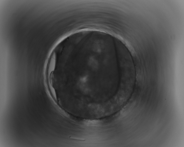 X0000093141522200710101108