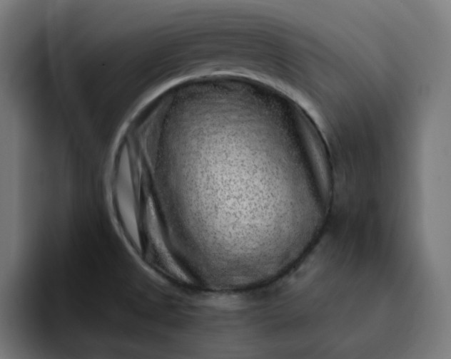 X0000093141525200710101108