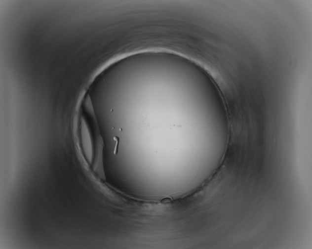 X0000093141526200710101108