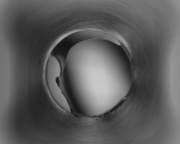 X0000093141528200710101108