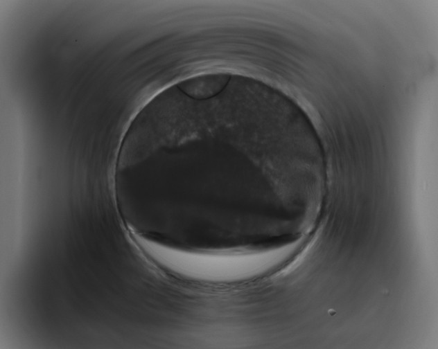 X0000093141529200710101108