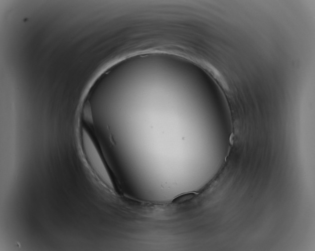 X0000093141530200710101108