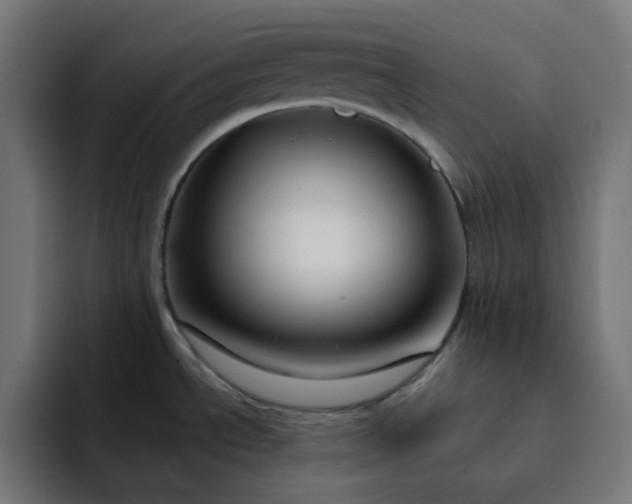 X0000093141534200710101108