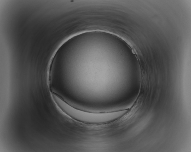 X0000093141535200710101108