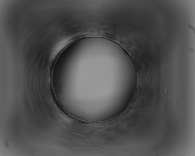 X0000093140005200710171339