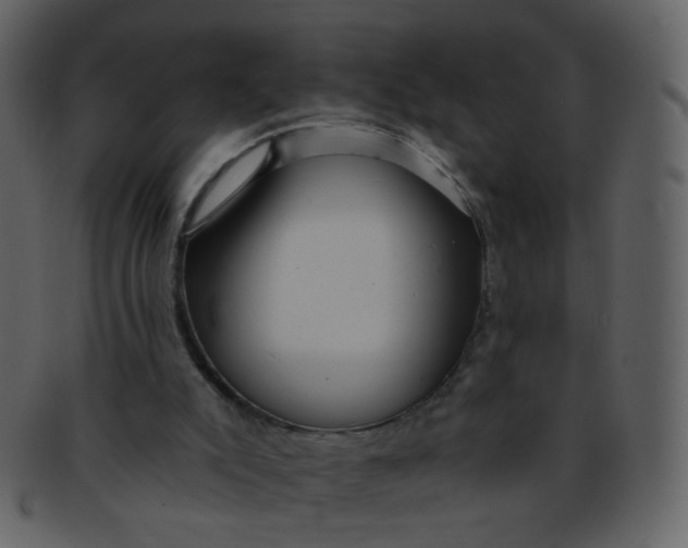 X0000093140007200710171339