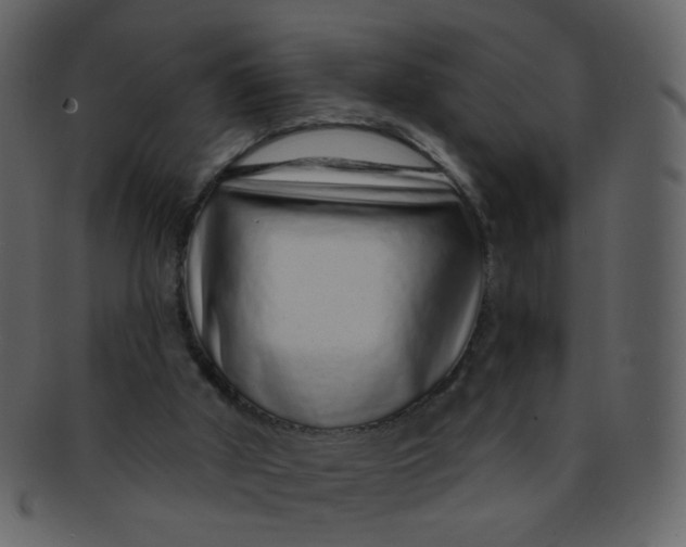 X0000093140010200710171339