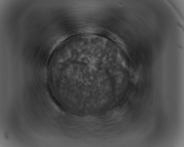 X0000093140012200710171339