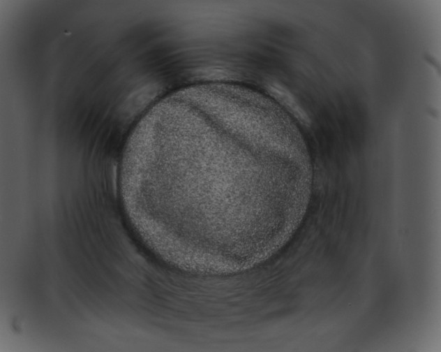 X0000093140014200710171339