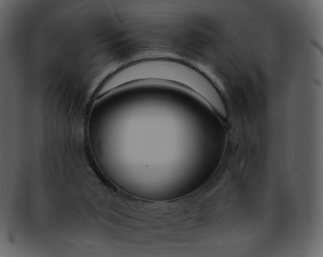 X0000093140015200710171339