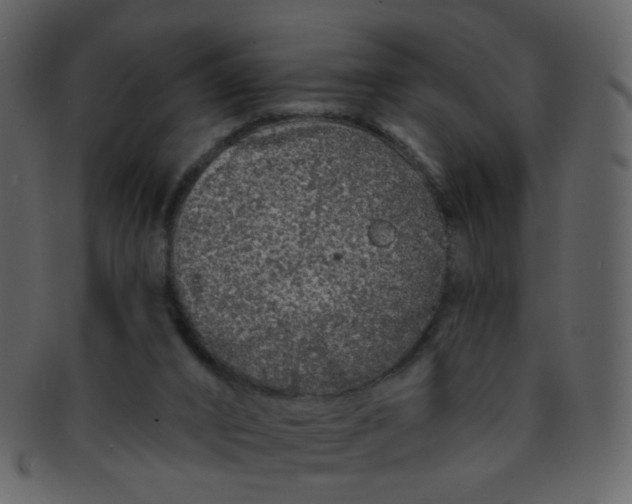 X0000093140016200710171339