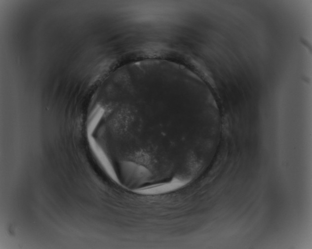 X0000093140018200710171339