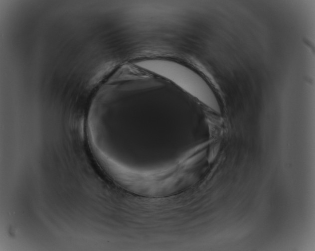 X0000093140019200710171339