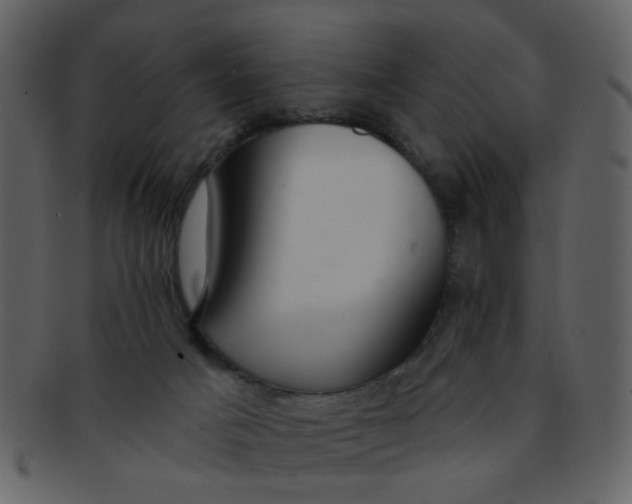 X0000093140025200710171339