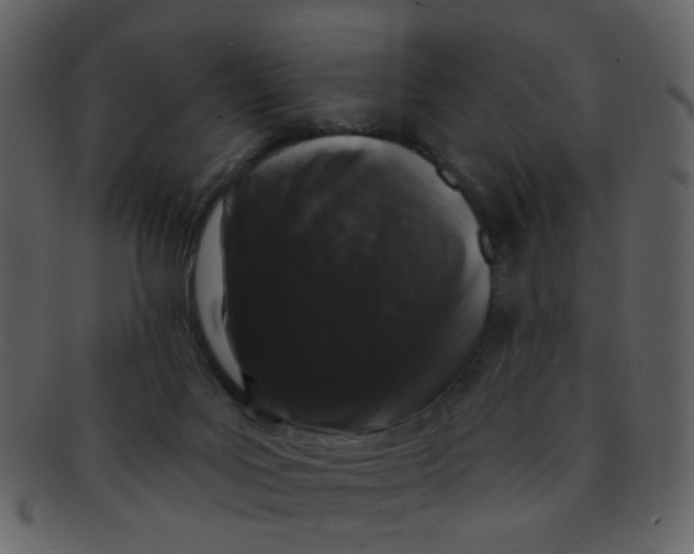 X0000093140027200710171339