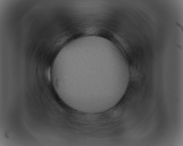 X0000093140028200710171339