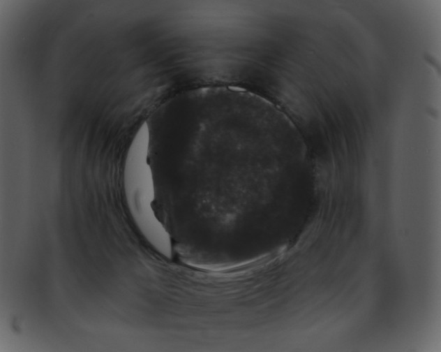 X0000093140029200710171339