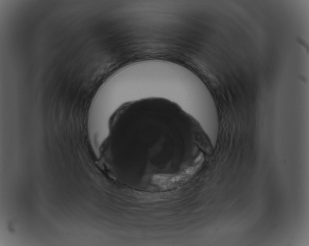 X0000093140031200710171338