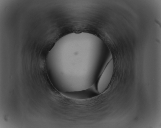 X0000093140033200710171338