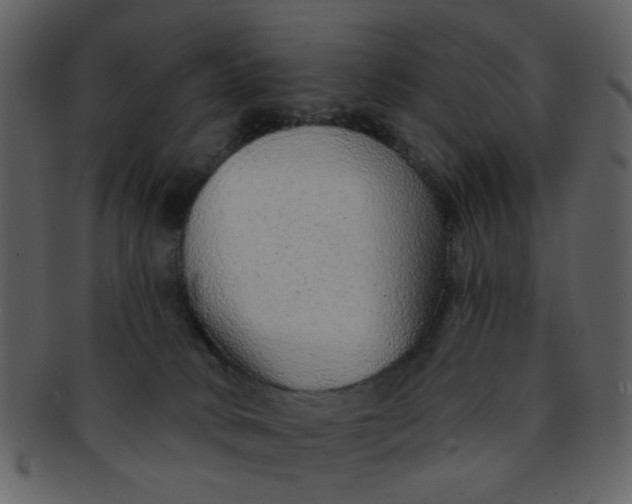 X0000093140034200710171338