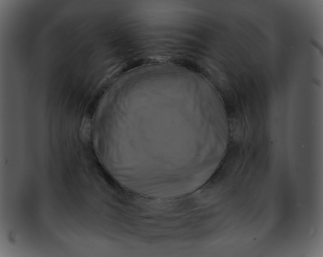 X0000093140036200710171338