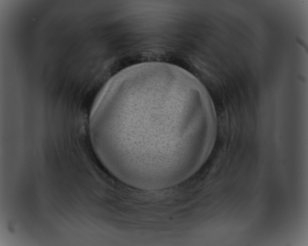 X0000093140038200710171338