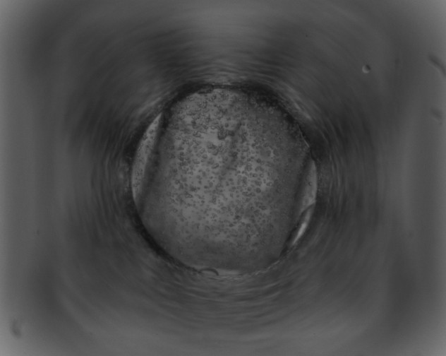 X0000093140043200710171338