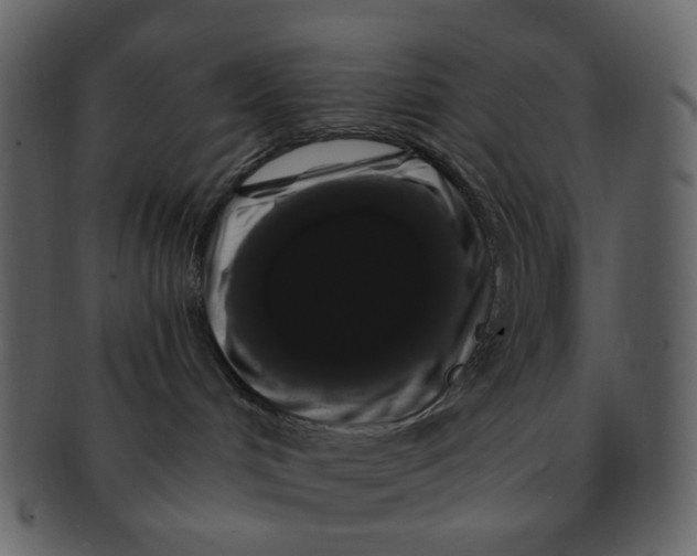 X0000093140048200710171338