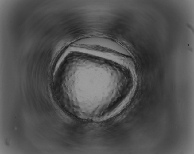 X0000093140049200710171338