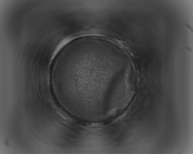 X0000093140056200710171338