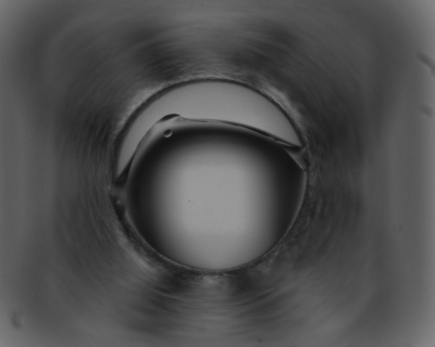 X0000093140060200710171338