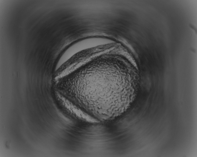 X0000093140063200710171338