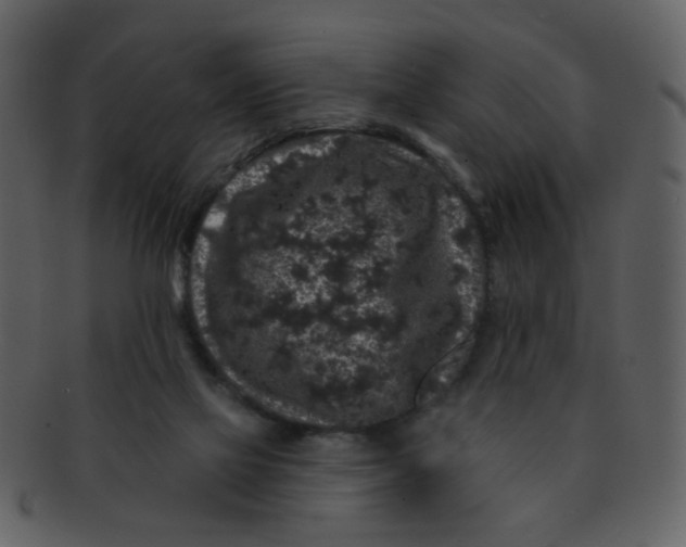 X0000093140069200710171338