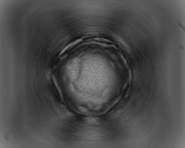 X0000093140073200710171338