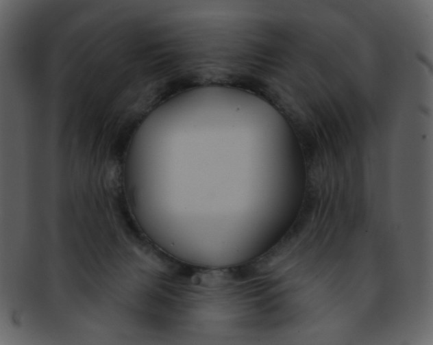 X0000093140079200710171338