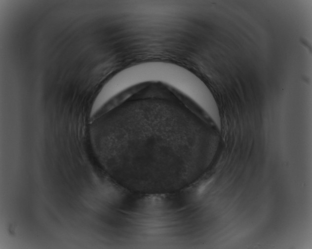 X0000093140080200710171338