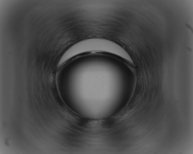 X0000093140084200710171338